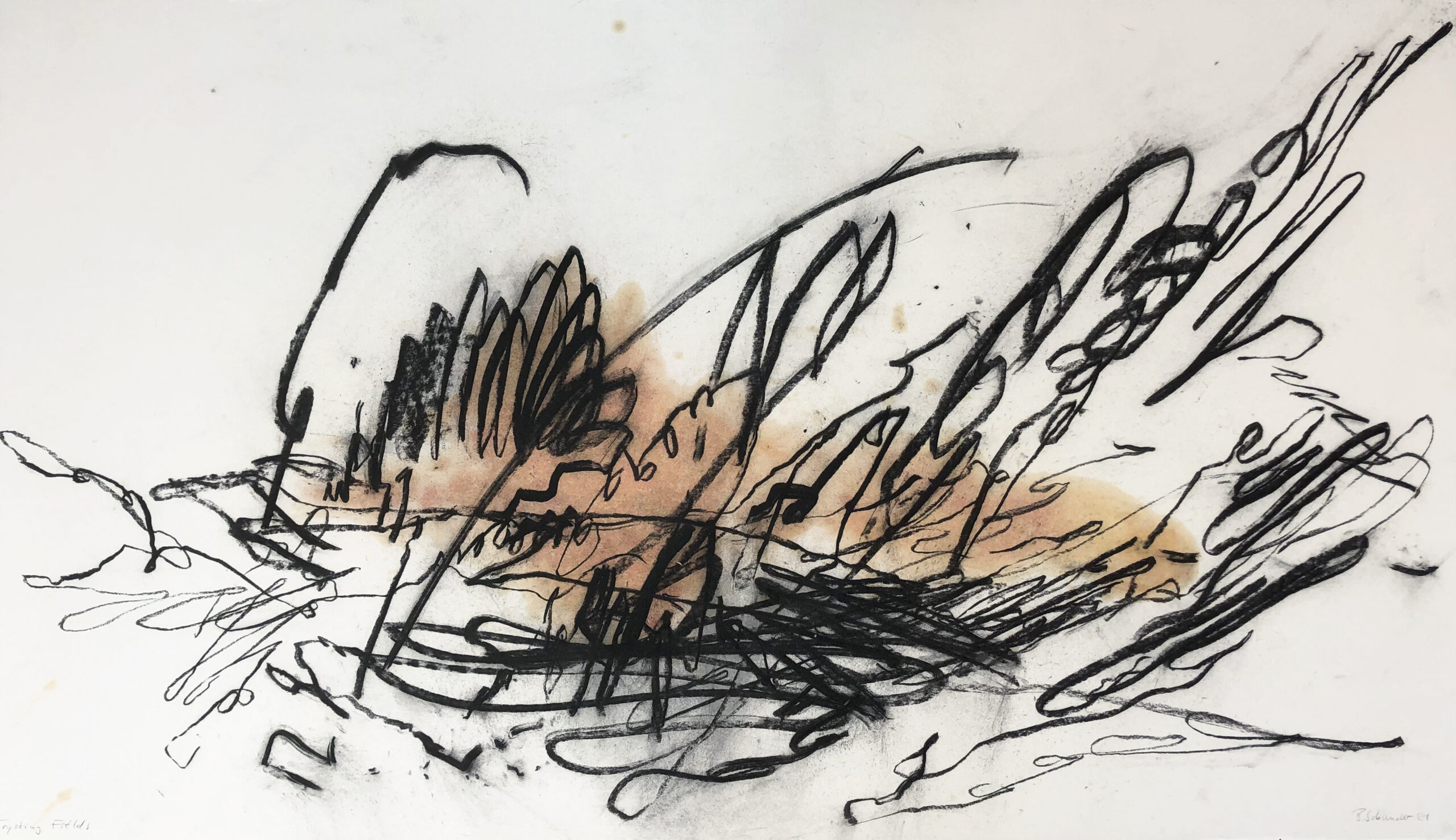 Trysting Fields | Kohle, Leinöl auf Papier | 130 x 75 cm | 2021