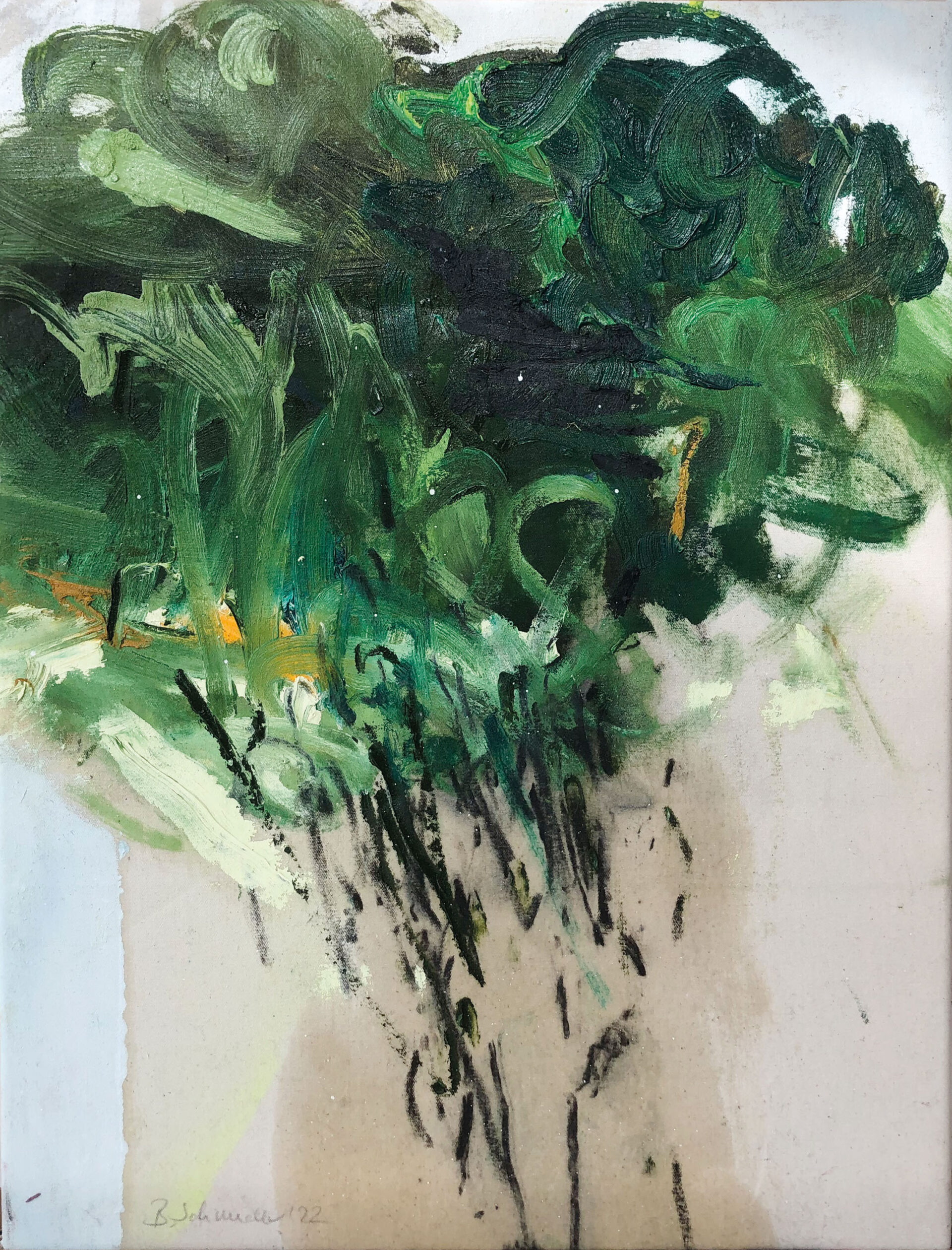 greenwashing | 45 x 58 cm | Kohle, Ölfarbe auf Leinwand